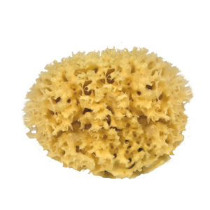 savonnerie de Marcel_savonnerie_artisanale_eponge_naturelle
